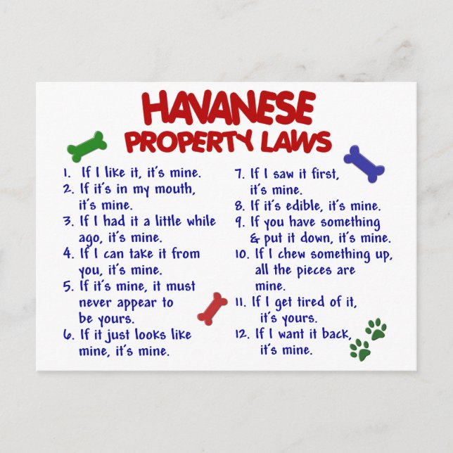 Carte Postale HAVANESE, lois sur la propriété 2 (Devant)