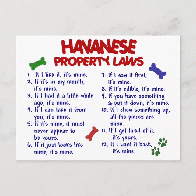 Carte Postale HAVANESE, lois sur la propriété 2 (Devant)