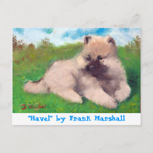 Carte Postale Havel by Frank Marshall Postcard