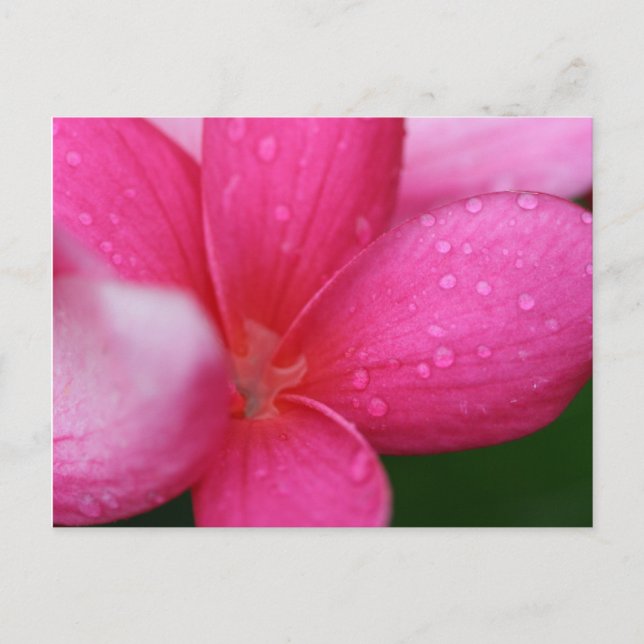 Carte Postale Hawaii (Devant)