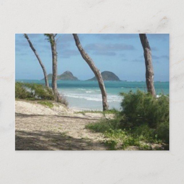 CARTE POSTALE HAWAII ALOHA COLLECTION (Devant)