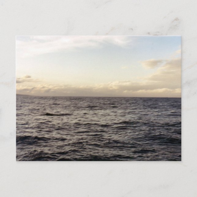 Carte Postale Hawaii Blue (Devant)