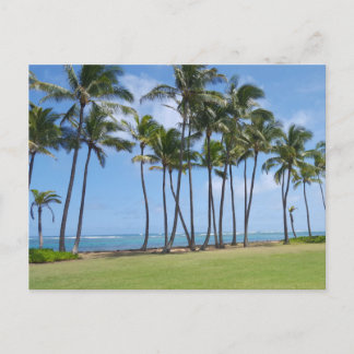 Carte postale Hawaii Coast