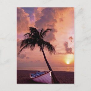 Carte Postale Hawaii Island Travel Beach Sunset Palm Tree Boat