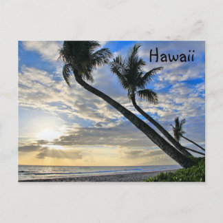 Carte postale Hawaii Palms