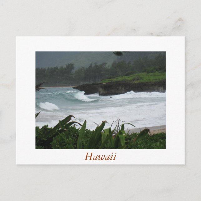 Carte Postale Hawaii Postcard 2 (Devant)