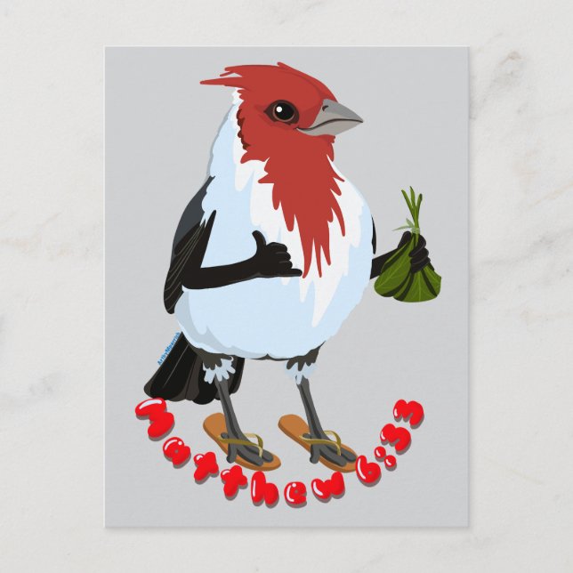 Carte Postale HAWAII RED CRESTED CARDINAL—Bible verse (Devant)