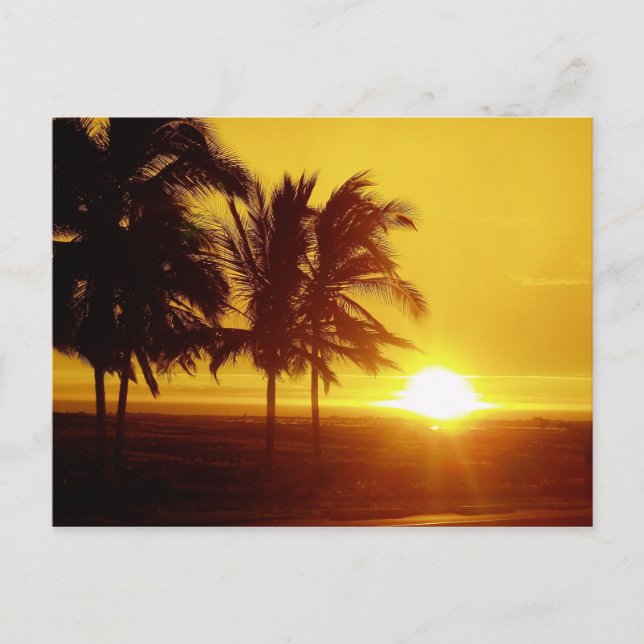 Carte postale Hawaii Sunset (Devant)