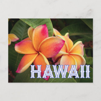 Carte postale Hawaii Travel