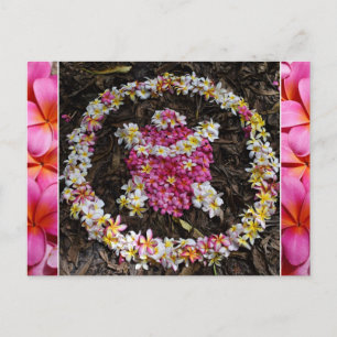 Carte Postale Hawaii Turtle Honu Plumeria Summer Flower Paradise
