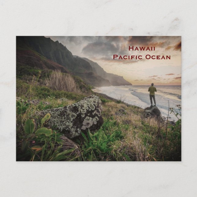 Carte Postale Hawaii Vintage Tourism Travel Ajouter (Devant)