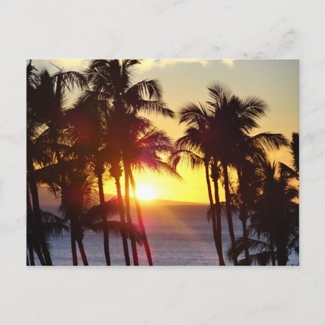 Carte Postale Hawaiian Exotic Beach Palm Trees coucher de soleil (Devant)
