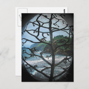 Carte Postale Hawaiian Ocean Beach Tree Photo Spotlight