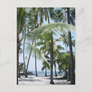 Carte postale Hawaiian Paradise