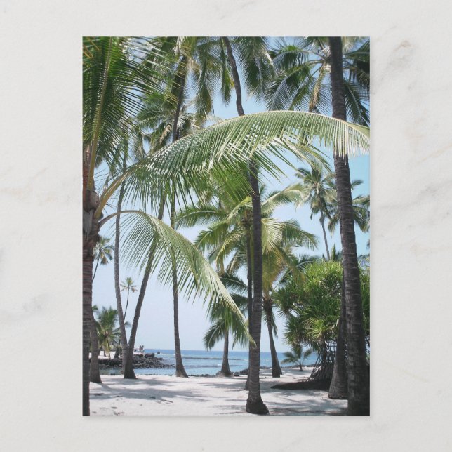 Carte postale Hawaiian Paradise (Devant)