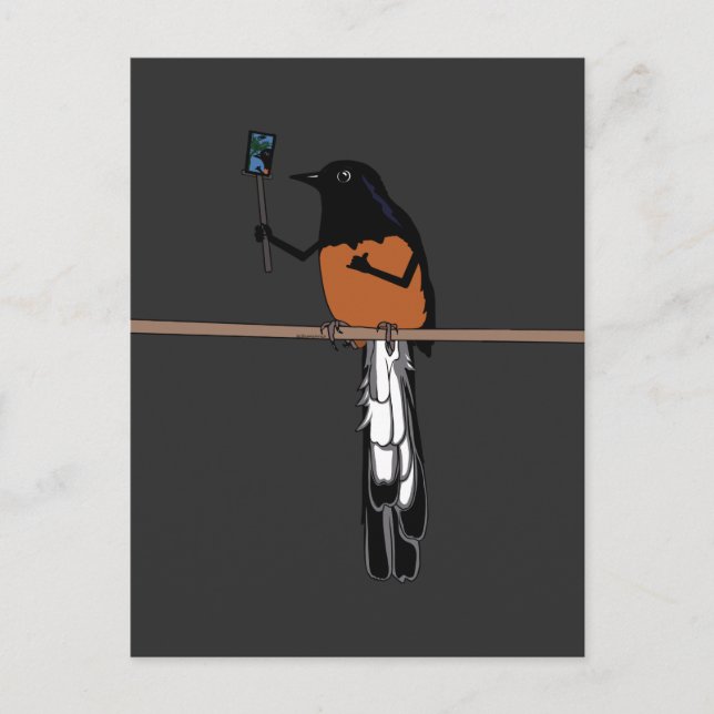 Carte Postale Hawaiian Shama Bird Selfie (Devant)