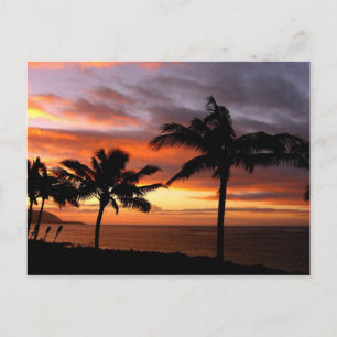 Carte postale Hawaiian Sunset