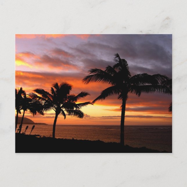 Carte postale Hawaiian Sunset (Devant)