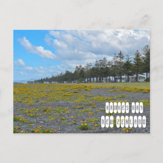 Carte Postale Hawkes Bay en Nouvelle-Zélande
