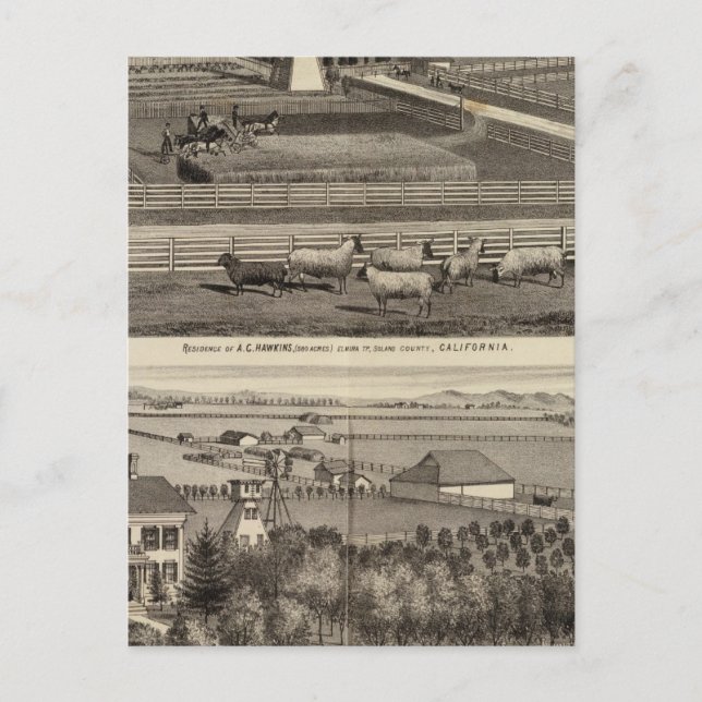 Carte Postale Hawkins, Résidences Mayes (Devant)