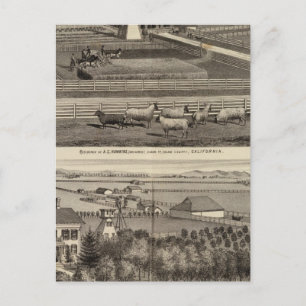 Carte Postale Hawkins, Résidences Mayes