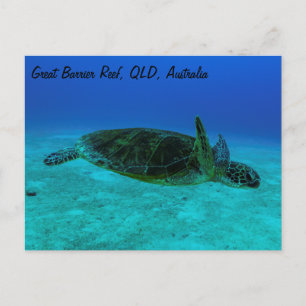 Carte postale Hawksbill Sea Turtle