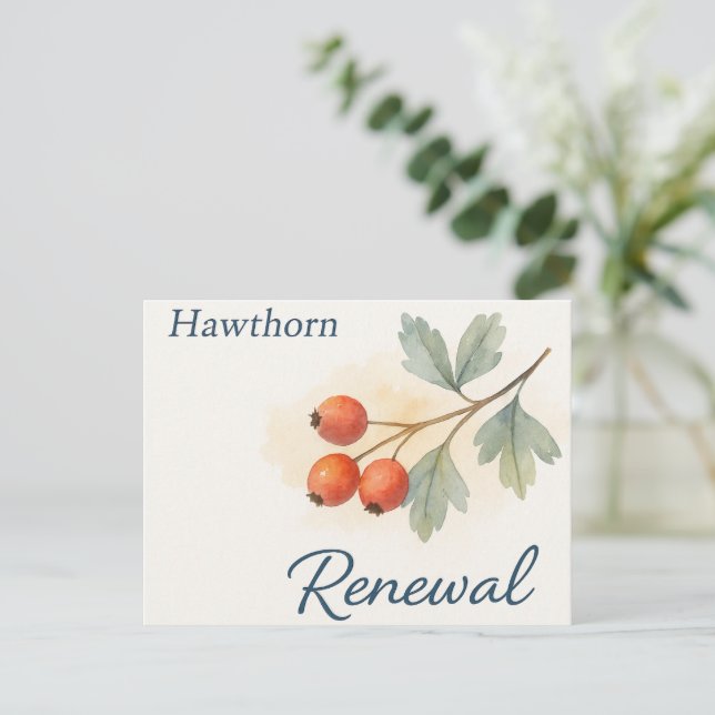 Carte Postale Hawthorn — Renewal (Debout devant)