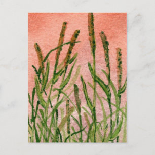 Carte postale "Hay Someday"