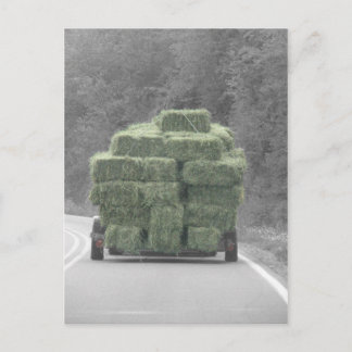 Carte Postale Hay there!