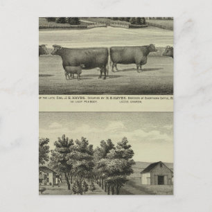 Carte Postale Hayes, Olathe et Ellis Residence et ferme