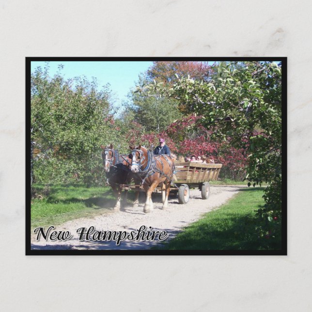 Carte Postale Hayride du New Hampshire (Devant)