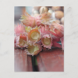 Carte Postale Hazelnuts.JPG