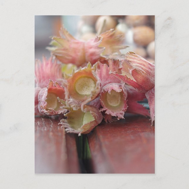 Carte Postale Hazelnuts.JPG (Devant)