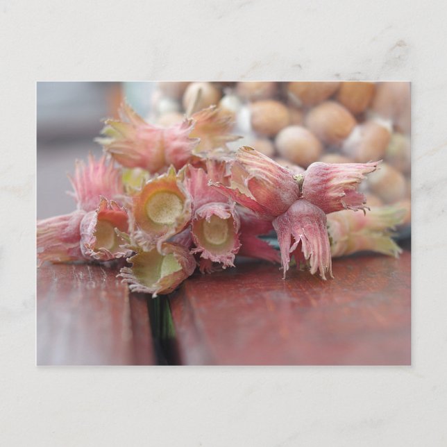 Carte Postale Hazelnuts.JPG (Devant)