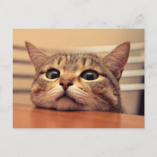 Carte Postale Head on