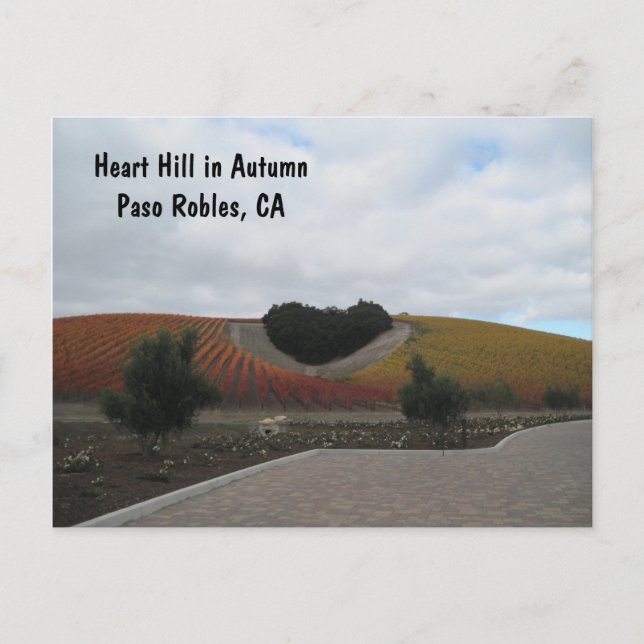 Carte postale : Heart Hill en automne, Paso Robles (Devant)