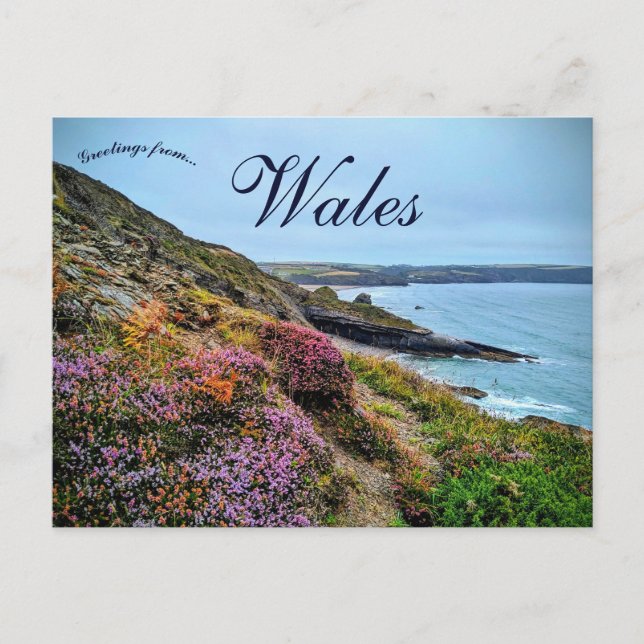 Carte Postale Heather in  Pembrokeshire Wales (Devant)