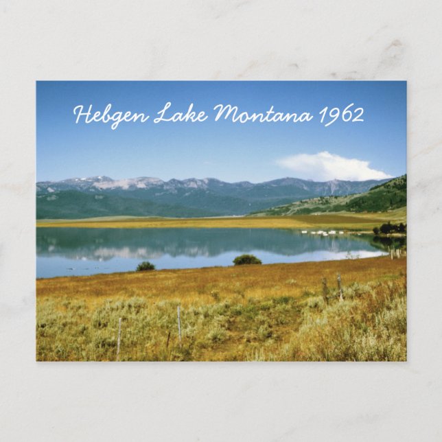 Carte postale Hebgen Lake Montana (Devant)