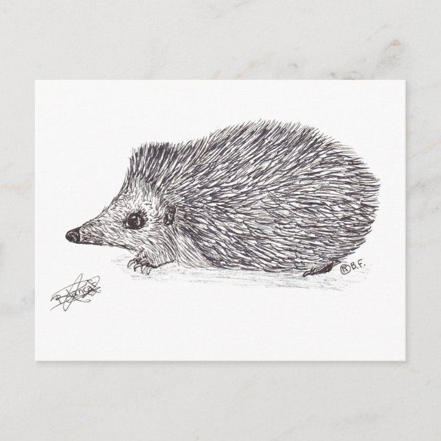 CARTE POSTALE HEDGEHOG (Devant)