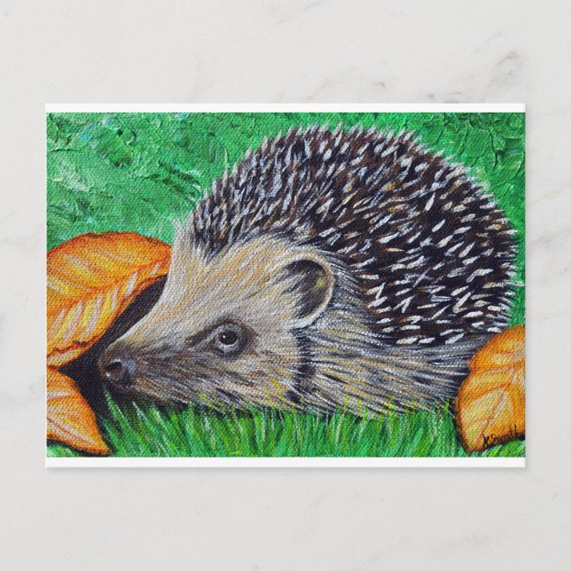 Carte Postale Hedgehog (Devant)