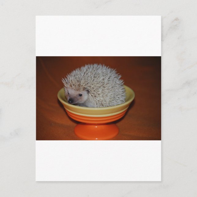 Carte Postale Hedgehog Sundae (Devant)