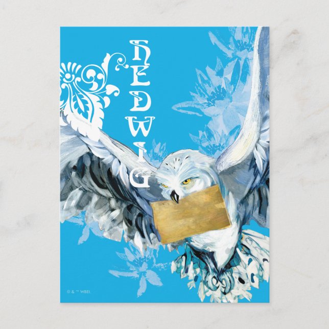 Carte Postale Hedwig (Devant)