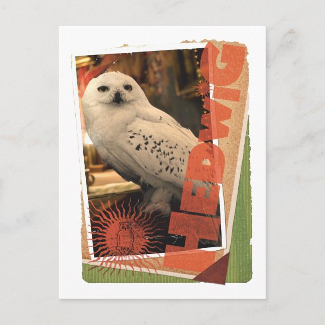 Carte Postale Hedwig 1 (Devant)