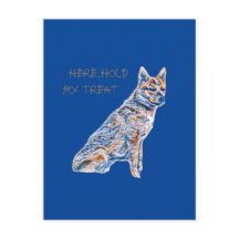 Heeler Cattle Dog Tiens Ma Treat