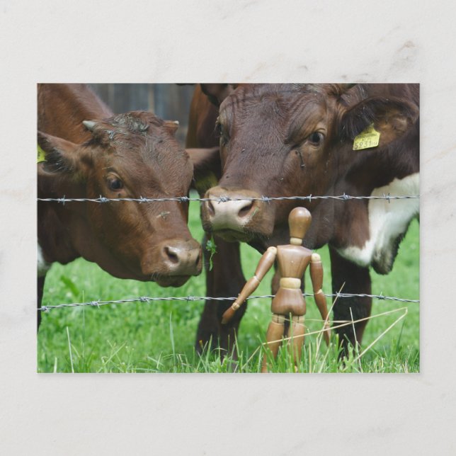 Carte Postale Hein ? (Devant)