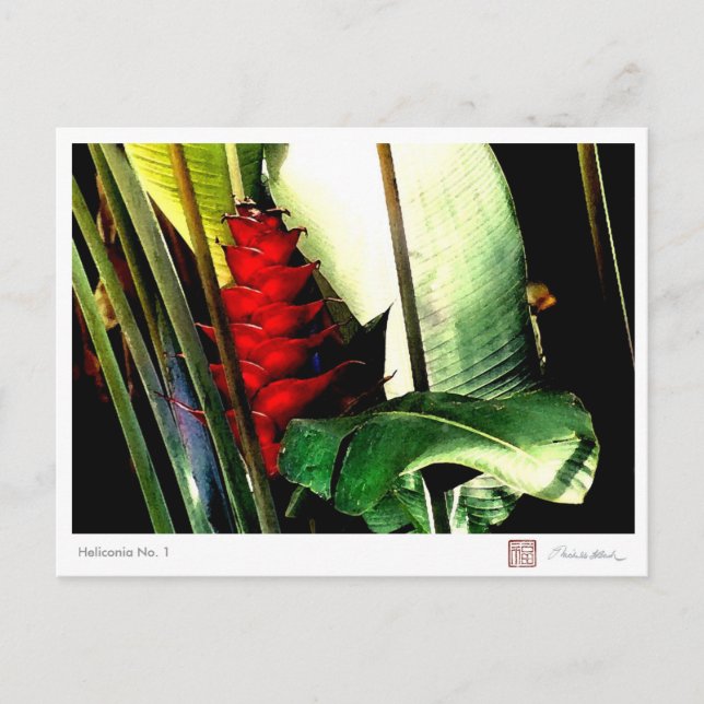 Carte Postale Heliconia no 1 (Devant)
