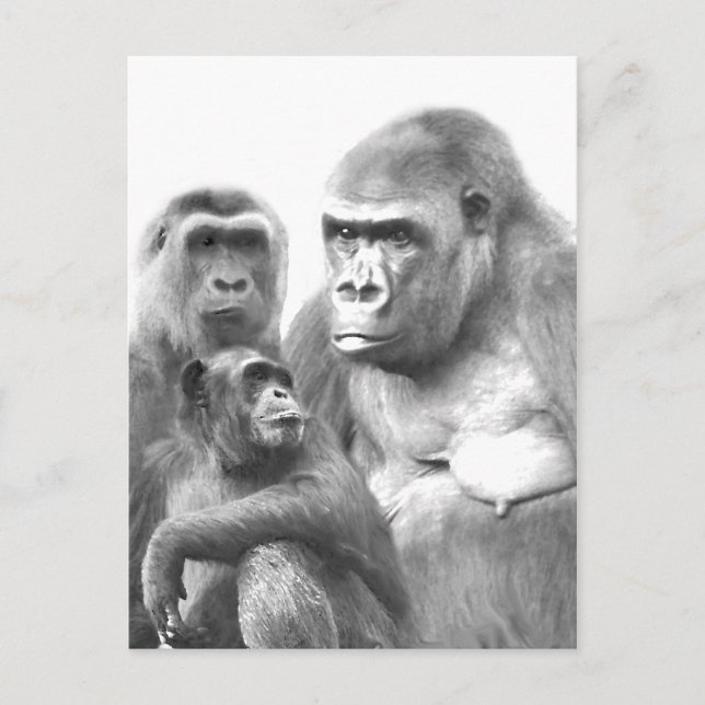 Carte postale Hello_ (Devant)