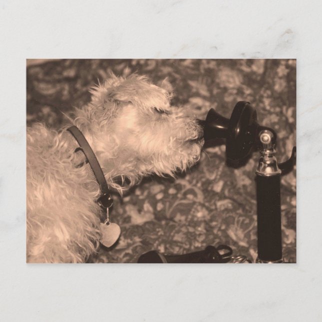 Carte Postale Hello (Devant)