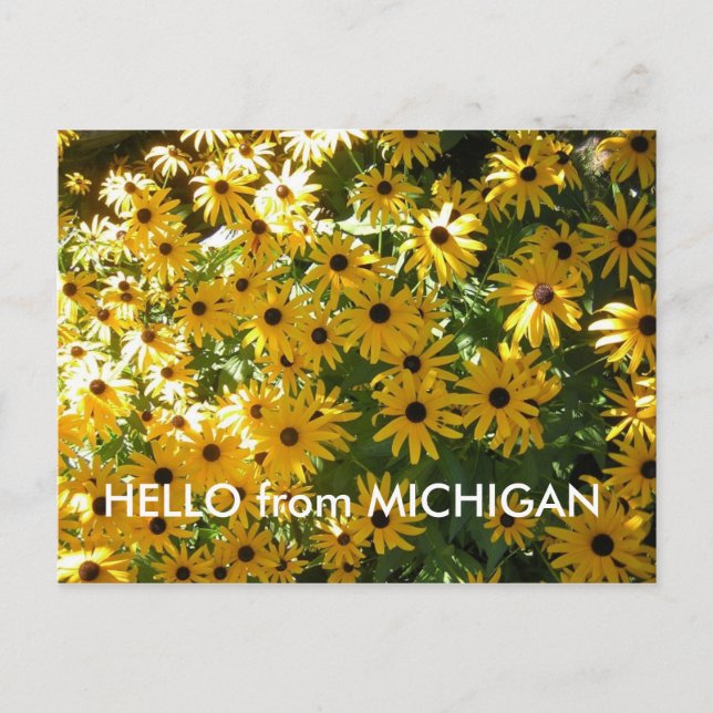 Carte Postale HELLO de MICHIGAN POST CARD POSTCARD (Devant)