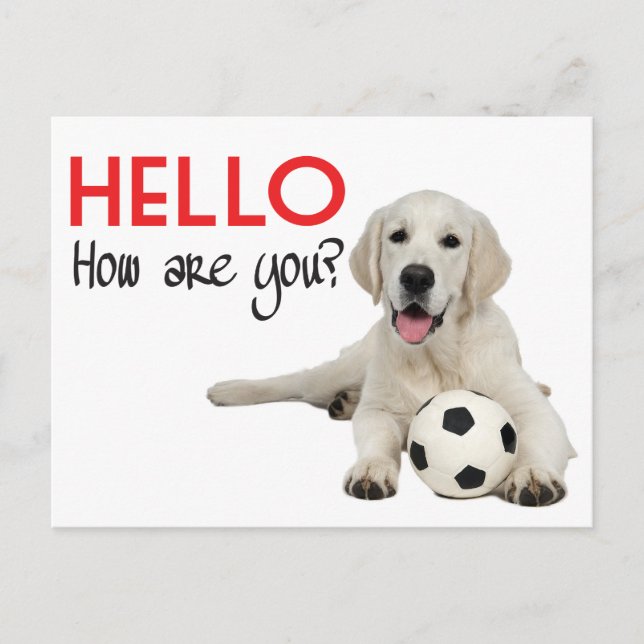 Carte Postale Hello Yellow Labrador Retriever Post Card (Devant)